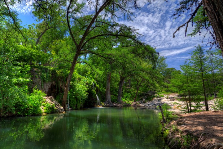 butterfly garden near Austin