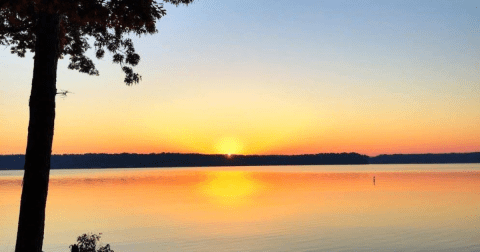 There's Almost Nothing In Life A Day On Mississippi's Bay Springs Lake Can't Cure