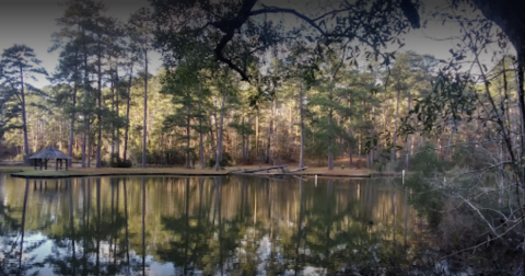 The Clearest Lake In Mississippi, Clear Springs Lake, Is Almost Too Beautiful To Be Real