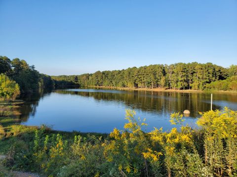 Meander Along A Lake Along the 2-Mile Heath Lake Loop In Georgia For An Unforgettable Outdoor Adventure