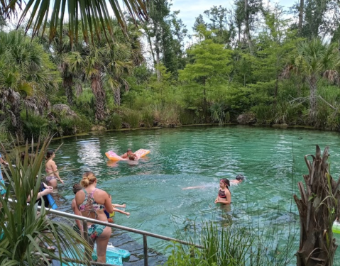 Few People Know There’s A Swimming Hole Hidden Along The Econfina Creek In Florida