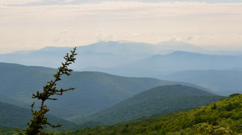 You'll See Layers Upon Layers Of Mountain Views On This Scenic 2-Mile Loop in Virginia