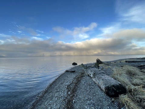 Few People Know There’s A Beach Park Hidden On The Shores of Puget Sound In Washington