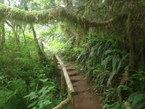 This State Park In Washington Is So Little Known, You'll Practically Have It All To Yourself