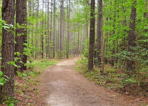 With More Than 8,000 Acres To Explore, Virginia's Largest State Park Is Worthy Of A Multi-Day Adventure