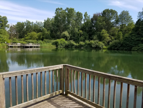 Hike To An Emerald Pond On This Easy Trail Near Detroit