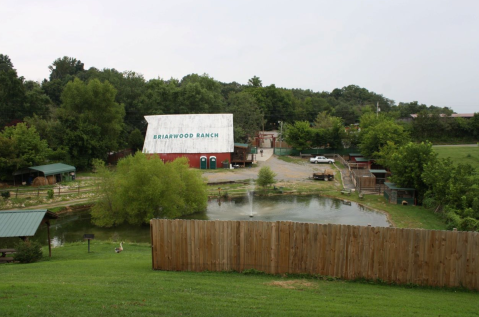 Adventure Awaits At The Briarwood Ranch Safari Park In Tennessee