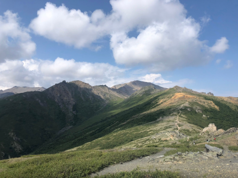 Hike Into The Clouds On The Mount Healy Overlook Trail In Alaska’s Denali National Park