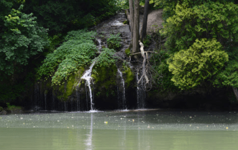 The One-Of-A-Kind John Bryan State Park In Ohio Is Absolutely Heaven On Earth