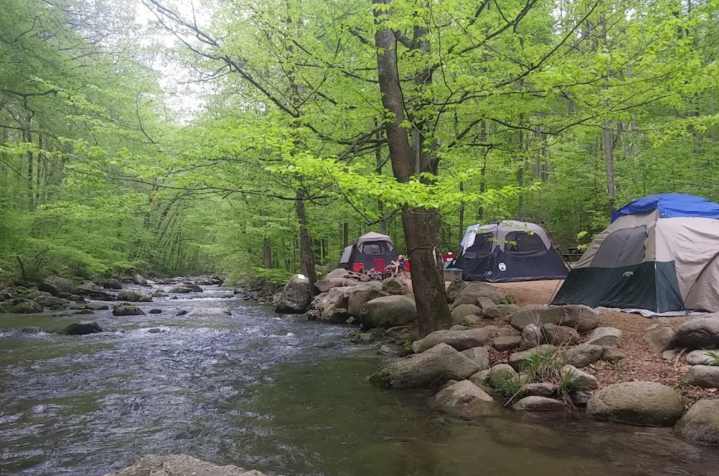 Campgrounds In Virginia