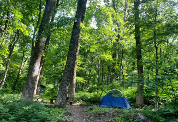 Campgrounds In Virginia