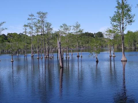 This State Park In Georgia Is So Little Known, You'll Practically Have It All To Yourself