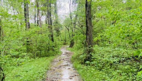 If There Are Only 3 Family Hikes You Ever Take In Indiana, Follow These Easy Trails