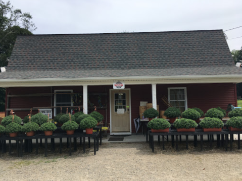 Your Entire Family Will Love A Visit To This Charming Farm Store Hiding In Connecticut