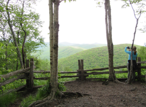 Explore North Carolina's Blue Ridge Mountains At This Underrated State Park