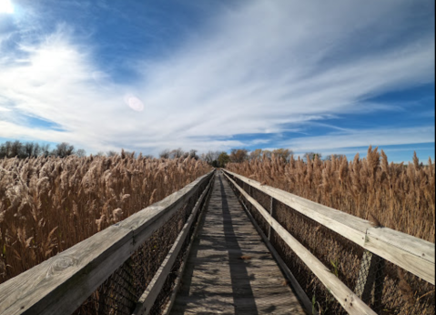 Explore Kansas's Everglades At This Underrated Wildlife Refuge