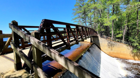 Explore South Carolina's Sandhills At This Underrated State Park