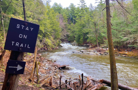 A Short But Beautiful Hike, Hilltop Loop Leads To A Little-Known Waterfall In Vermont