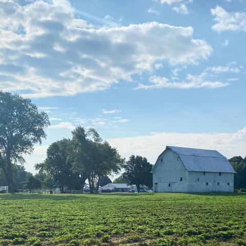 Take The Whole Family On A Day Trip To This Pick-Your-Own Raspberry Farm In Indiana