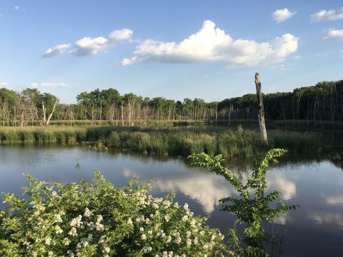 Here Are 3 Of The Most Refreshing Waterfront Trails You Can Take In Illinois