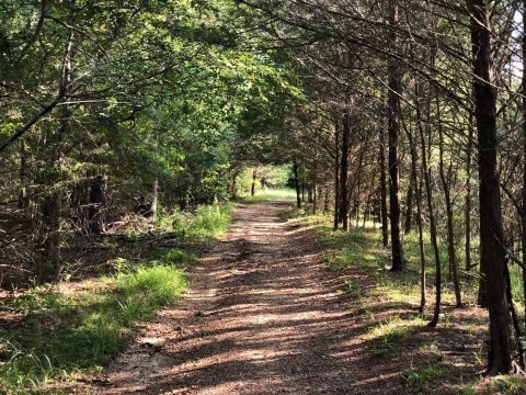 Hike At Buddy Butts Park Loop, Then Stop At Fenian’s Pub For A World Famous Shepherd's Pie In Jackson, Mississippi