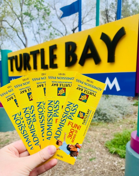 Part Nature Center And Part Museum, Turtle Bay Exploration Park Is The Ultimate Summer Day Trip In Northern California