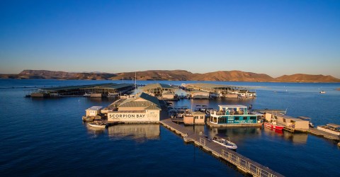 This Floating Restaurant And Marina In Arizona Is The Ultimate Summer Playground