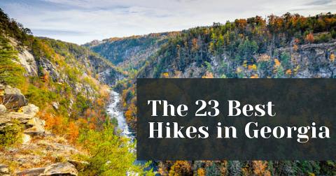 23 Best Hikes in Georgia: The Top-Rated Hiking Trails to Visit in 2024