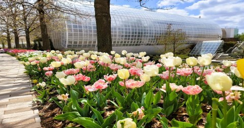 This Family-Friendly Attraction In Oklahoma Has A Botanical Garden, Water Features, A Walking Trail, And More