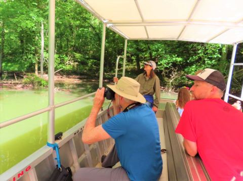 Take A Nature Cruise On This One-Of-A-Kind Scenic Boat Tour In Arkansas