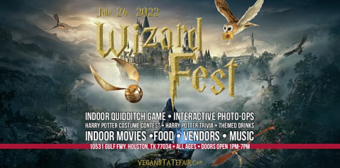 A Harry Potter Festival With Indoor Quidditch Is Flying Into Texas This Summer