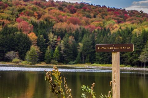 There's Almost Nothing In Life A Day On West Virginia's Spruce Knob Lake Can't Cure