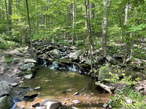 Hedden Park Is One Of The Most Underrated Summer Destinations In New Jersey