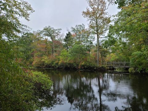 Meander Through A Shady Forest Along The 1.5-Mile Birch Grove Park Trail In New Jersey For An Unforgettable Outdoor Adventure