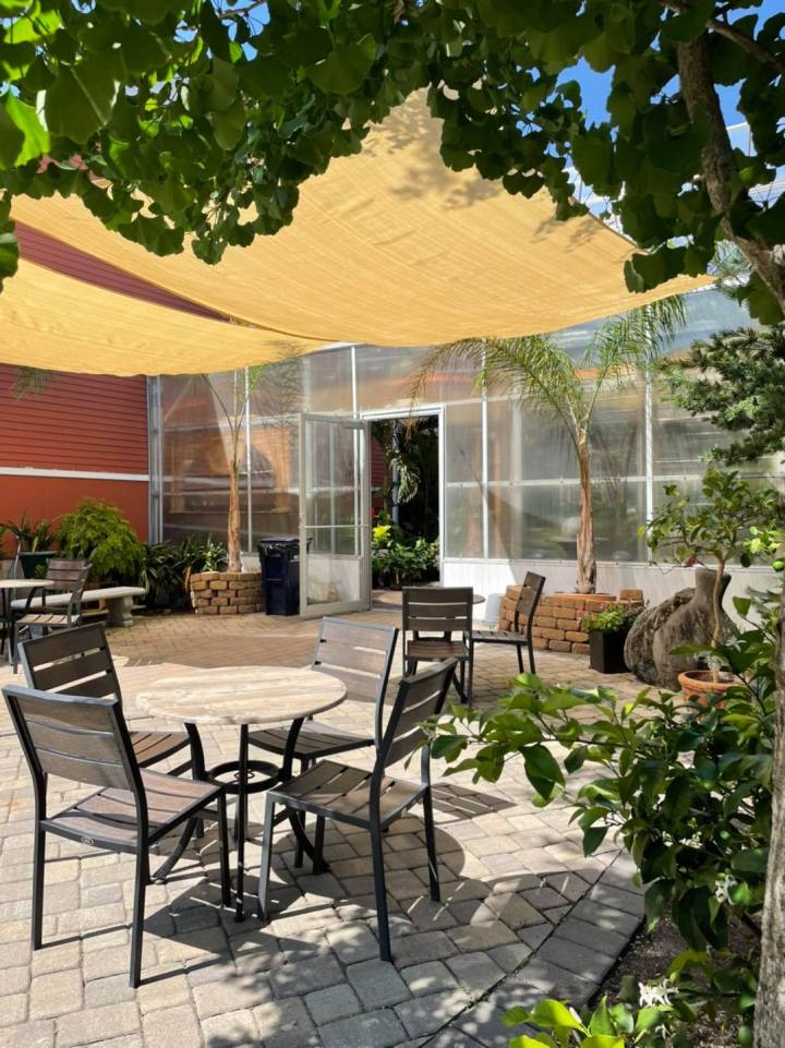 cafe plant shop