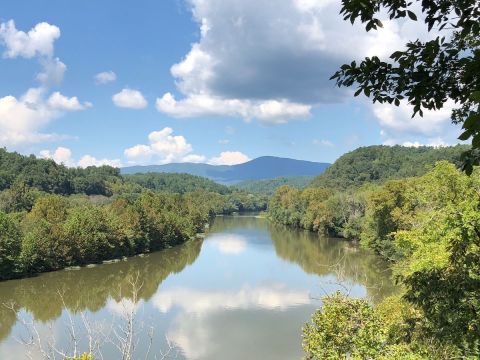 With Wooded Stairs and Footbridges, The Little-Known Trail of Trees In Virginia Is Unexpectedly Magical