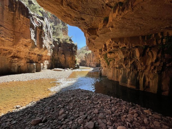 Enchanted Scenery: Tunnel