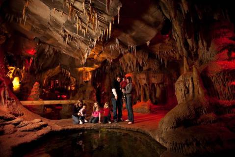 The Largest Nocturnal Animal Exhibit In The World Is In Nebraska, And It's Magical