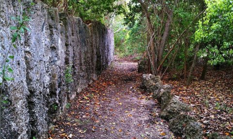 Explore Florida's Geological Wonderment At This Underrated State Park