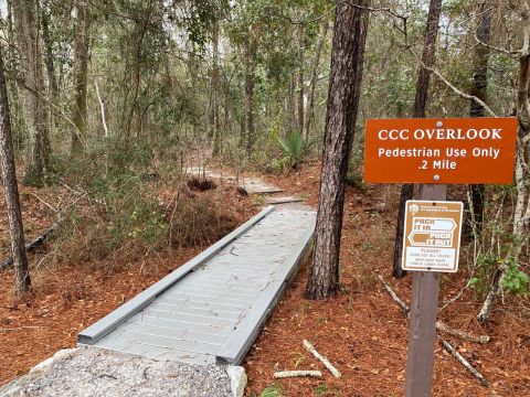 Take A Meandering Path To A Mississippi Overlook That’s Like Something From A Tropical Dream