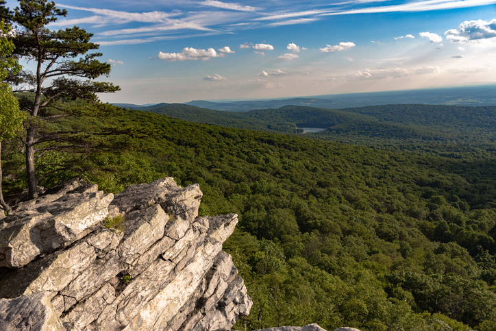 Maryland banner image