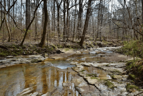 The Little-Known Swimming Hole In Louisiana That Locals Want To Keep Secret