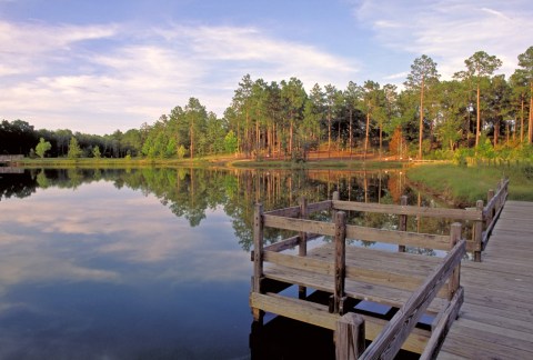 After A Hike Through Georgia's General Coffee State Park, Board The Vulcan Steam Engine At The Georgia Museum Of Agriculture & Historic Village For A Memorable Adventure