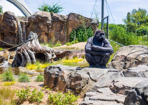 There's A Nature Center Right Next To A Zoo In Massachusetts, Making For A Fun-Filled Family Outing