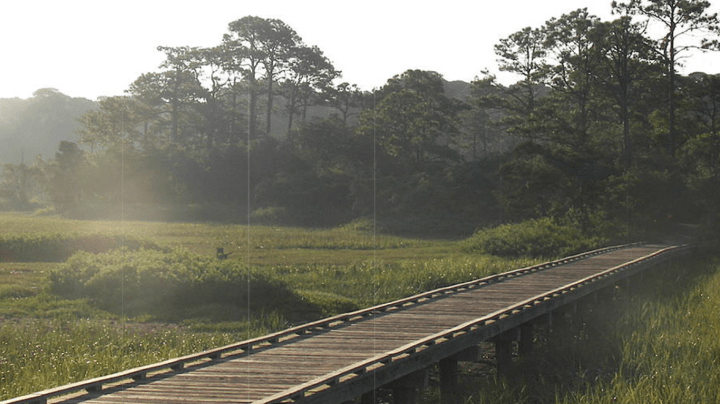 nature trails in Mississippi