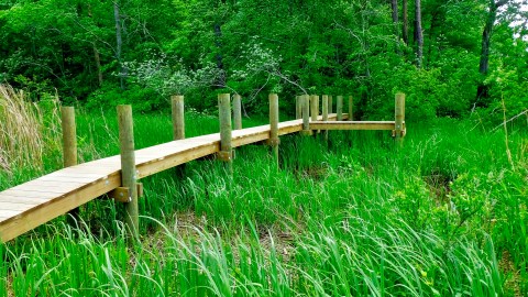 Take A Boardwalk Trail Through The Wetlands Of Kings Landing Park In Maryland