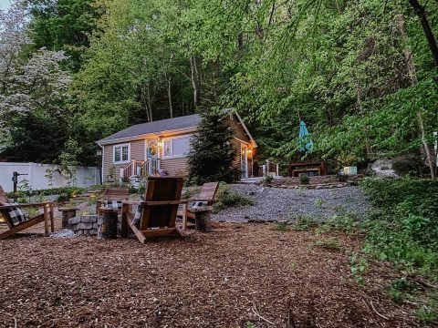 Sleep Among Towering Trees At The Little Lake Cabin In Connecticut