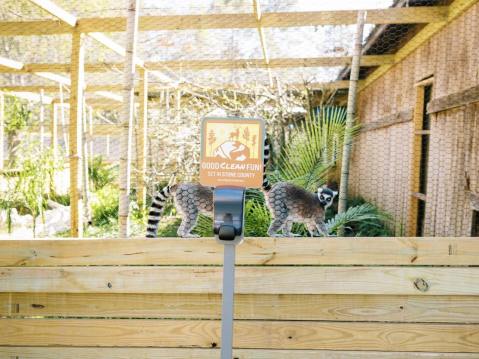 There's A Hiking Trail Right Next To A Petting Zoo In Mississippi, Making For A Fun-Filled Family Outing