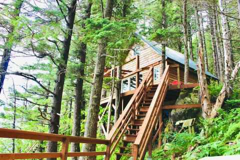 Humpy Cove Cabin Is A Treehouse In Alaska Where You Can Spend The Night