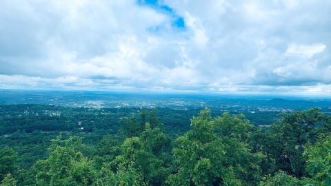 Buffalo Mountain Has A Gorgeous Forest Trail In Tennessee That Will Take You To Two Spur Trail Overlooks